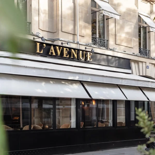 L&rsquo;avenue